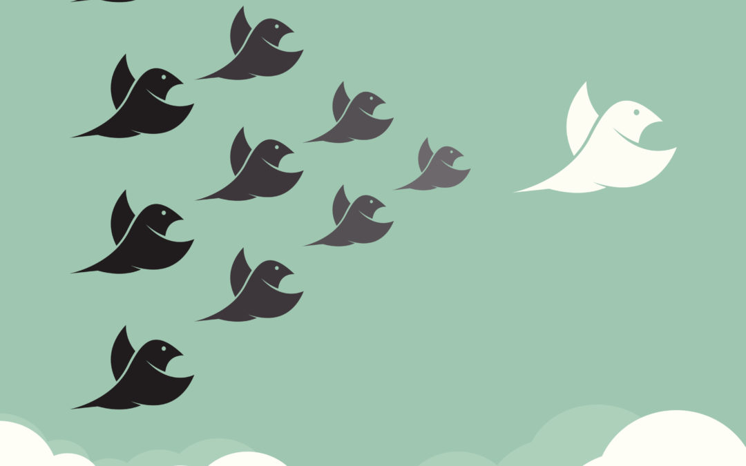 Social Media: Top 5 to Follow in 2015